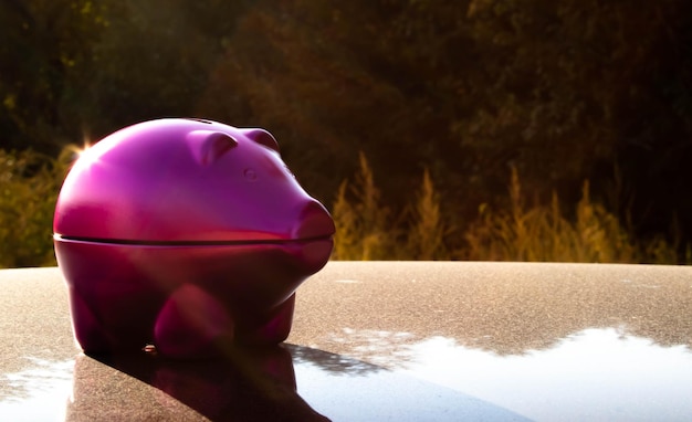 Maximize Savings: Guide to Utilizing the 5.25% Federal Funds Rate