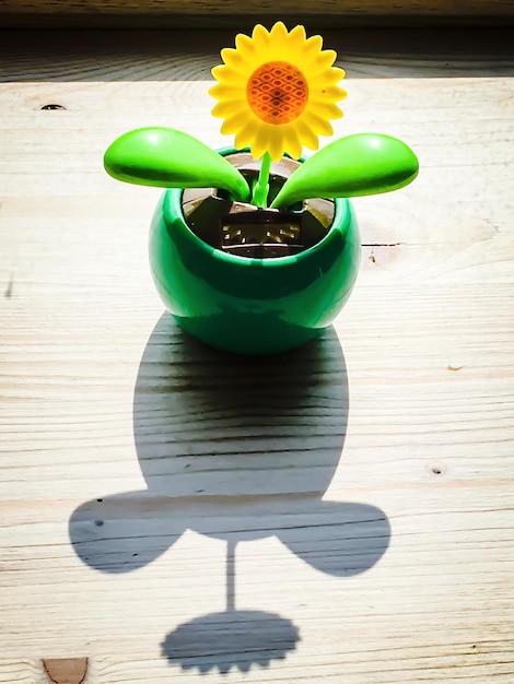A visual representation of dollar bills and coins sprouting like plants from fertile soil, symbolizing the tax-free growth of investments within a Roth IRA. The backdrop should include a sunrise, representing the dawn of a secure retirement, and a calculator along with a calendar indicating the year 2025, further emphasizing the topic and timeline.