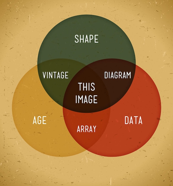 A Venn diagram illustrating the overlap and differences between traditional and alternative asset classes. The overlapping area highlights the potential for diversification benefits when combining both types of assets in a portfolio.